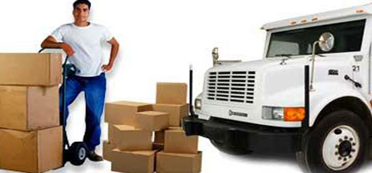 VRL Logistics Packers and Movers
